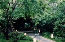 べにや無何有